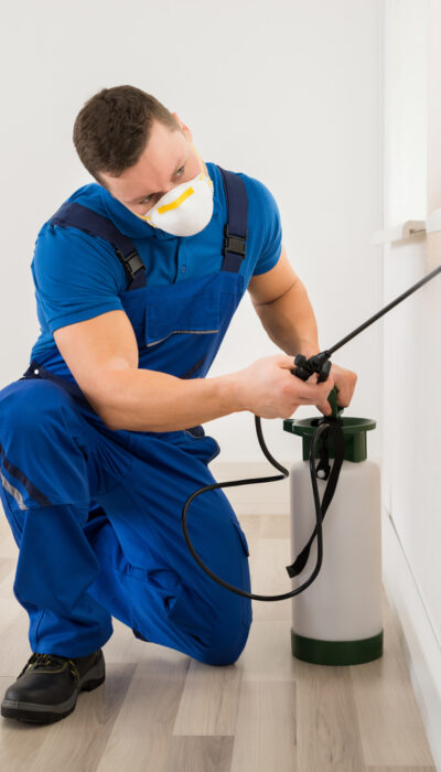 Pest Control &#8211; Types, Cost, And Top Services