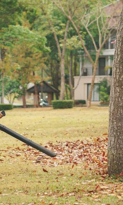 3 Popular Leaf Blowers to Choose From