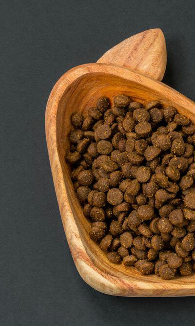 3 healthy canned dog food for your furry friend