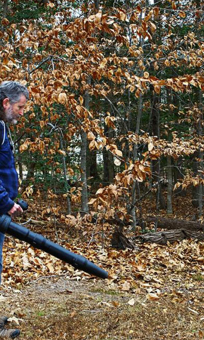 3 popular leaf blowers to clean up your yard with ease