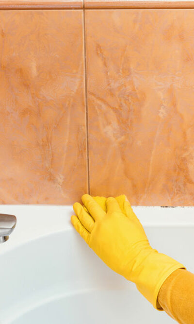 10 essential bathroom cleaning products for every home