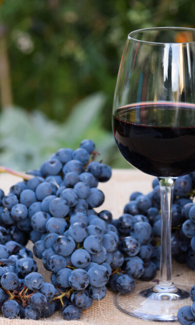 7 Must-Know Health Benefits Of Wine