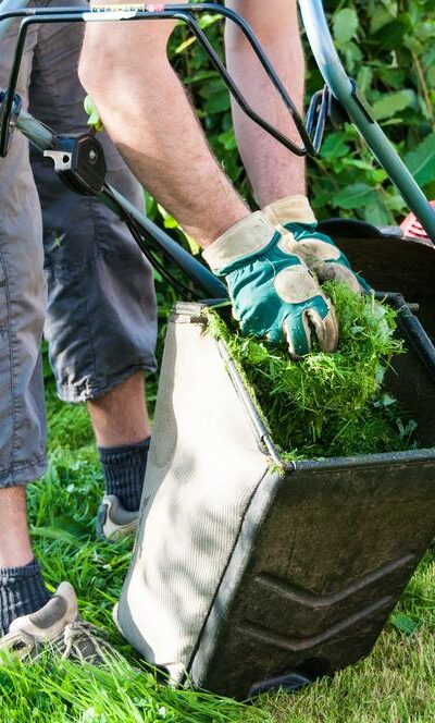 7 Tips to Get the Most from Your Garden Shredder