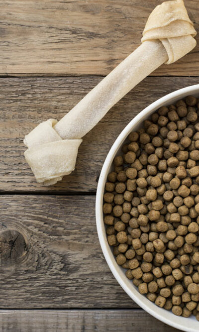 7 popular dog food brands to choose from