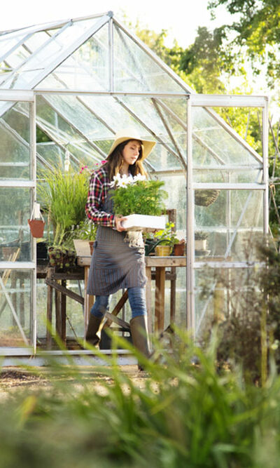 7 tips for the beginner greenhouse gardener