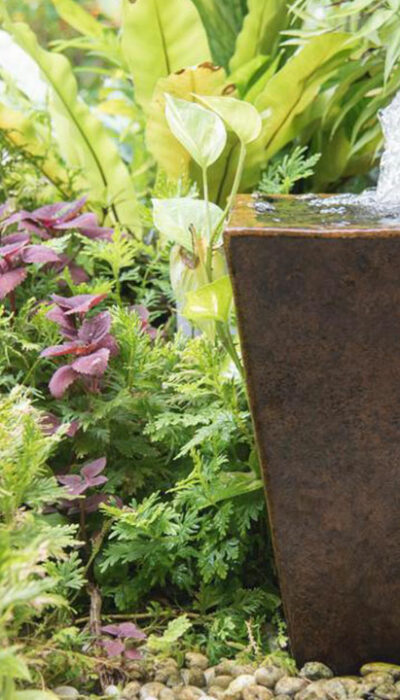 4 best-selling water fountains to watch out for