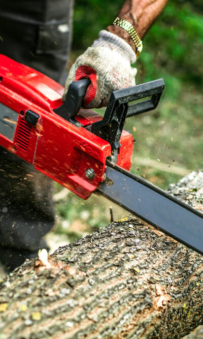 5 Best Chainsaw Brands You Should Buy