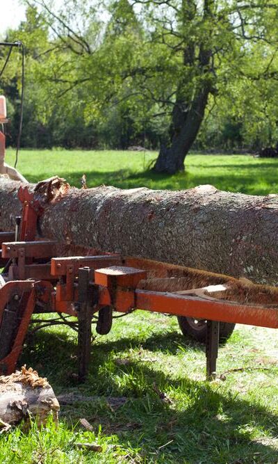 5 Popular Portable Sawmill Companies