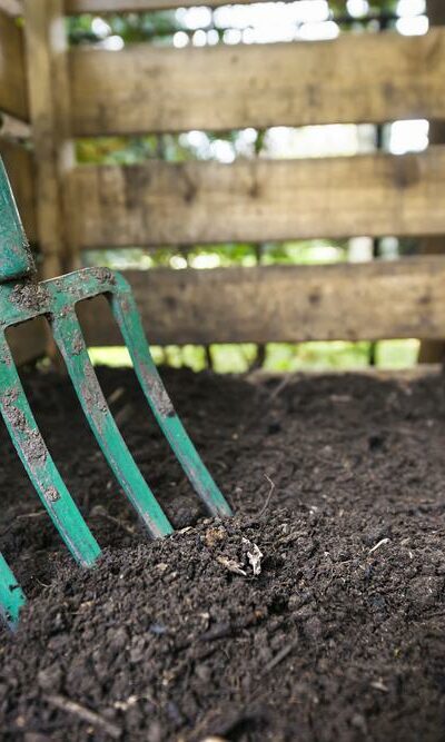 5 Reasons Why You Need a Compost Caddy