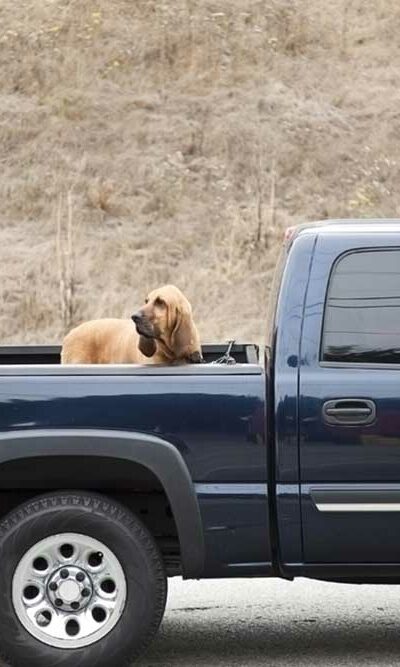 5 Top-Rated Truck Bed Covers to Choose From