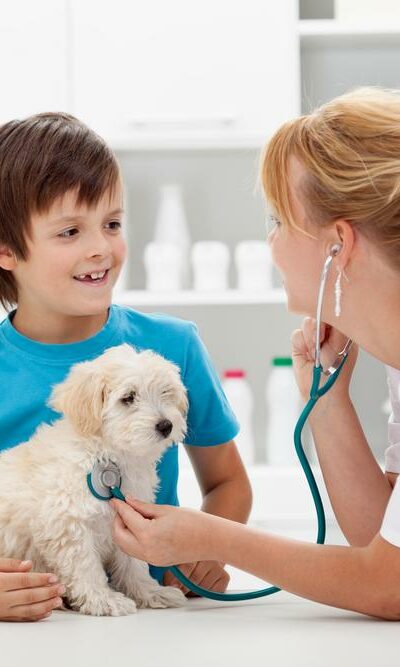 5 Ways Pet Insurance Can Be a Lifesaver