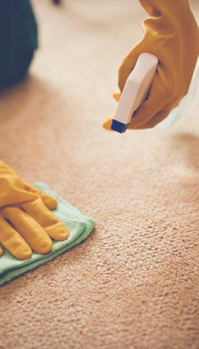 5 benefits of carpet cleaning services 