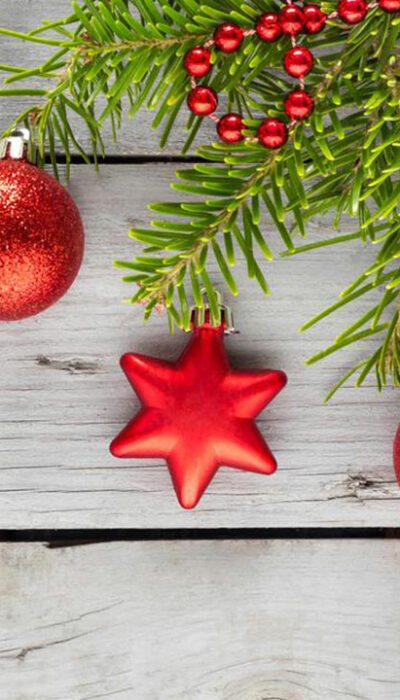 5 best Christmas ornaments you can buy this festive season