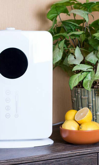 5 best home air purifiers