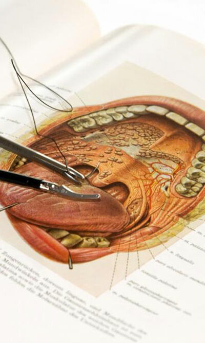 5 fields that need you to know about human anatomy