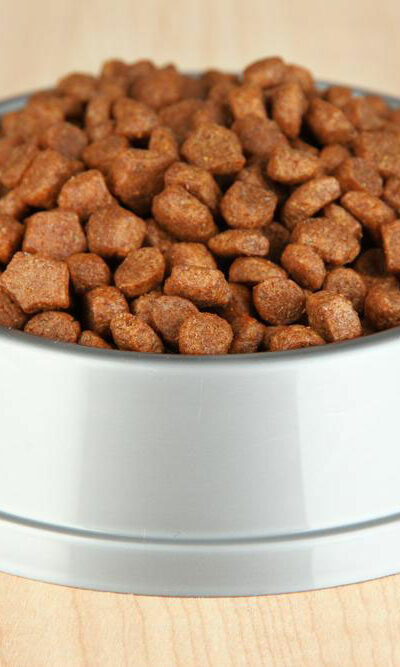 5 scrumptious weight-loss dog foods for your overweight canine