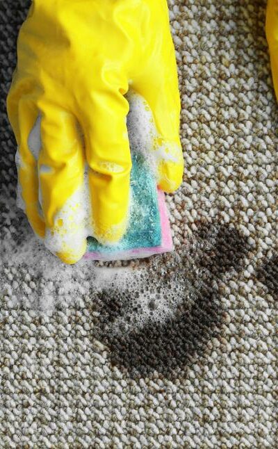 6 easy ideas for best carpet stain removers