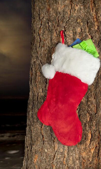 6 things your kids would love in their Christmas stockings