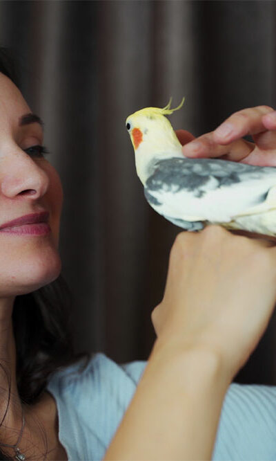 8 birds that make for fabulous pets