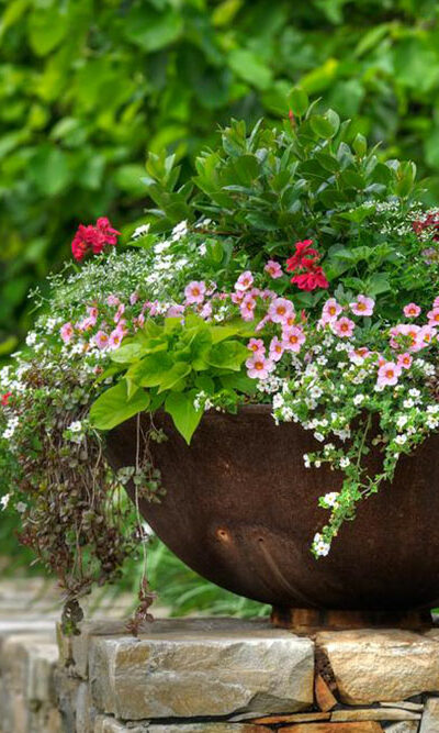 Creative garden planter ideas