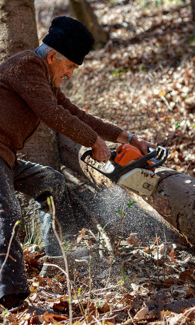 A Guide to Buying the Right Chainsaw