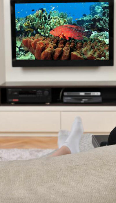 An Introduction to Smart TVs