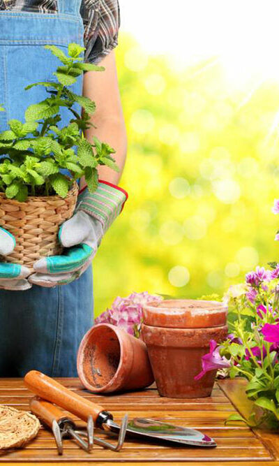 An overview of home-based gardening business