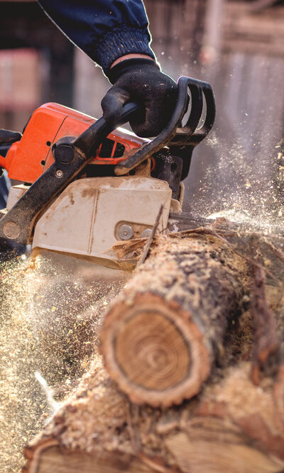 All You Need to Know When You Buy Chainsaws