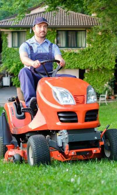 All about Choosing the Right Lawnmower