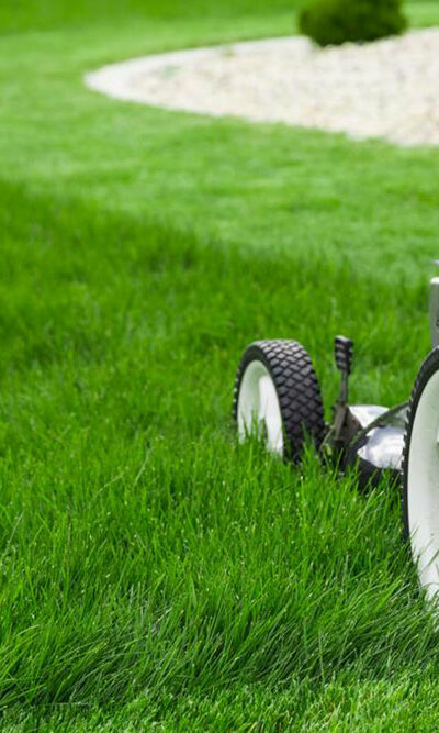 All you need to know about lawn mowers