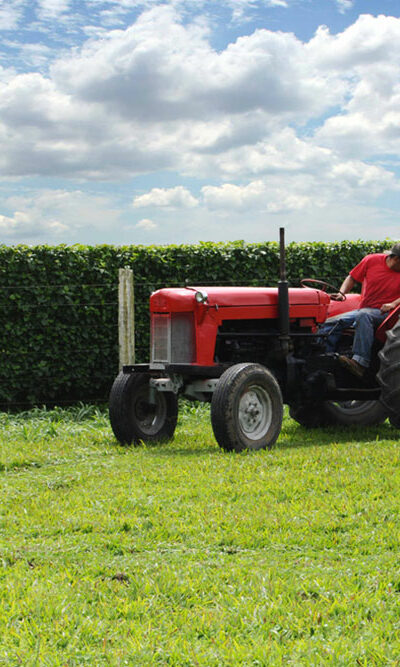 A quick guide to buy the right farm tractor for your needs