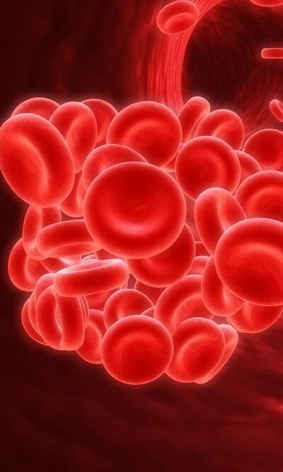 Blood clots – Introduction