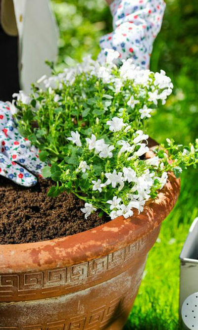 Build your own large garden planter