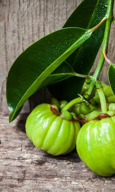 Garcinia cambogia &#8211; Know what you consume