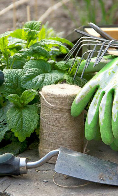 Garden Tools for Gorgeous Outdoors