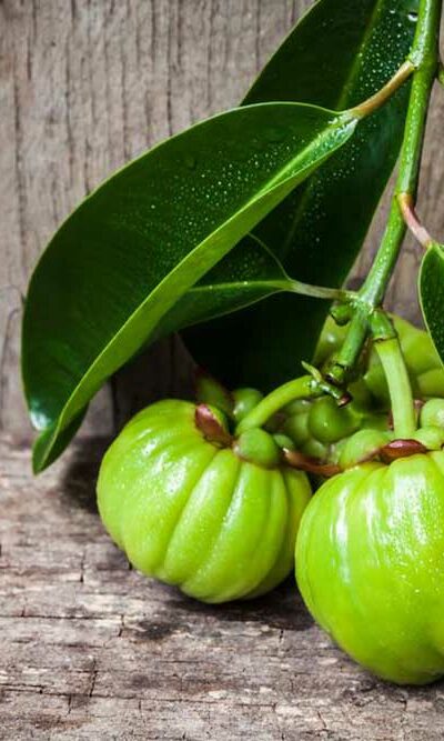 Getting a Closer Look at the Garcinia Cambogia Side Effects