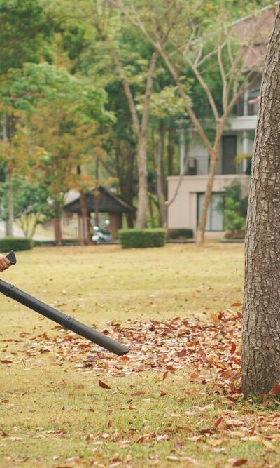 Guide for buying the best leaf blower