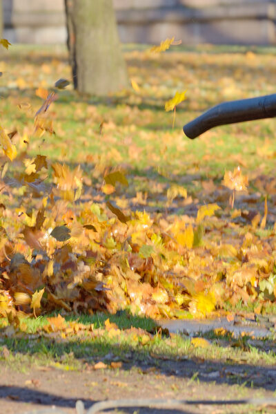 Guidelines To Select The Best Leaf Blower