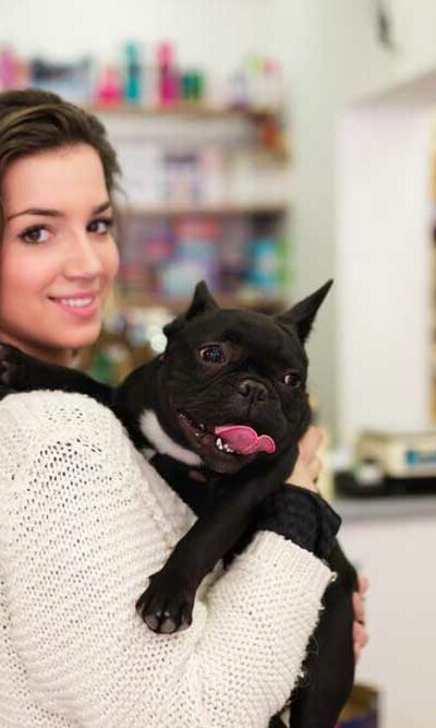 Everything You Need to Know About French Bulldog Puppies