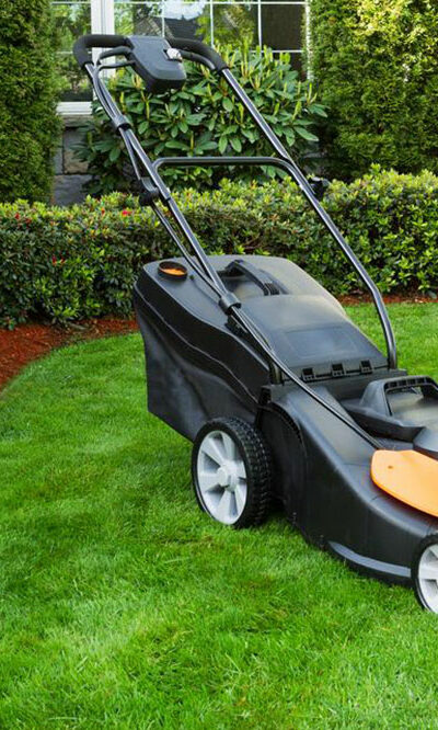 Everything you need to know about lawn care services