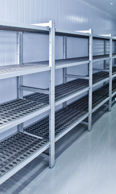 Evolution of Food Storage from Ice Men to Freezers