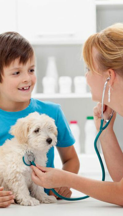 Factors that can affect the cost of pet care