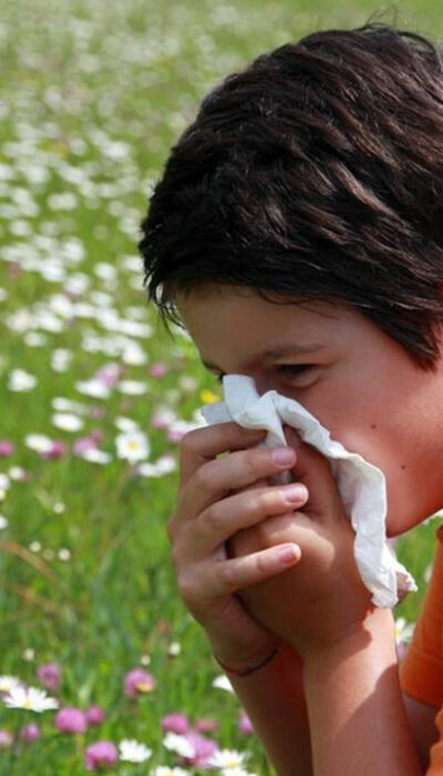 Five food items to fight pollen allergy