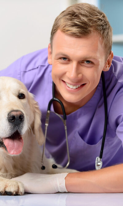 Keep Your Furry Friends Covered With Pet Insurance