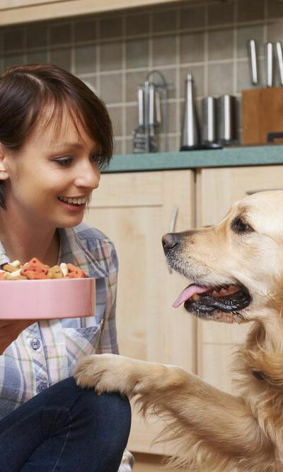 Keep your senior dog healthy with these fortified senior dog foods