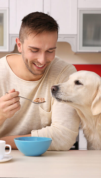 How To Choose The Best Dog Food For Your Furry Friend