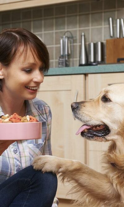 How To Treat Food Allergy Problems Of Dogs