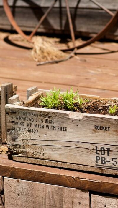 How to Build a Wooden Planter Box