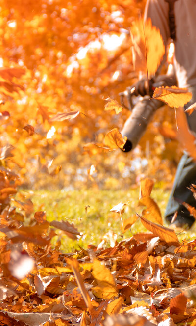 How to Choose the Best Leaf Blower