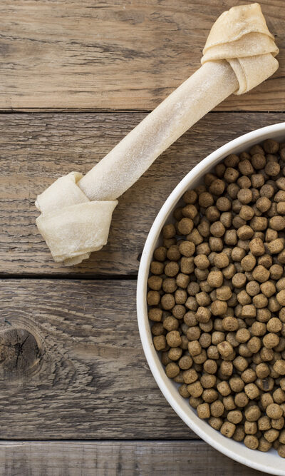 How to Pick the Right Dog Food for a Sensitive Stomach